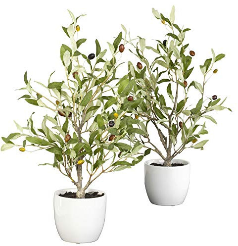 Nearly Natural 4774-S2 Olive Decorative Silk Tree with Vase, 18-Inch, Green