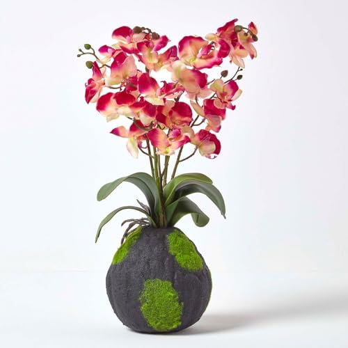 HOMESCAPES Pink & Cream Artificial Orchid with Lifelike Silk Flowers and Realistic Green Leaves Two Tone Oriental Phalaenopsis Orchid Flower with Faux Moss Base 60cm tall for Indoor Decoration