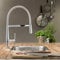 Schütte New York Spiralfeder Küchenarmatur mit Brause, 360 Grad schwenkbarer Wasserhahn Küche, Armatur mit ausziehbarer Geschirrbrause, Chrom, 47,5 cm