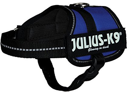 K9 Powerharness, Size: L/1, Blue