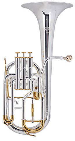 Lechgold AH-204S Eb-Althorn (für Einsteiger und Fortgeschrittene, Edelstahl-Ventile, aus hochwertigem Messing, Züge aus Neusilber, inkl. Koffer, Mundstück, Reinigungstuch) versilbert