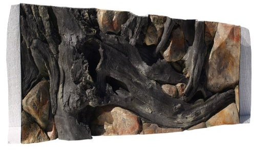 Robizoo ABG081 Rückwand zum Aquarium und Terrarium 3D Amazonas 100x40cm