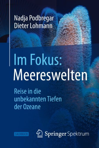 Im Fokus: Meereswelten: Reise in die unbekannten Tiefen der Ozeane (Naturwissenschaften im Fokus)