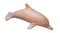 Delphin Holz natur 12 cm