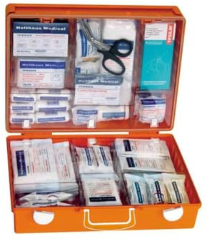 Holthaus Medical – ASSOCIATION of Fall Multi Orange Erste Hilfe Kit 1 St