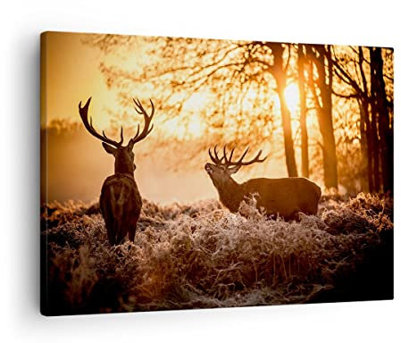 Moderne Impression sur Toile Deer bruyère animaux Image Tableau Decoration Murale 70x50cm Deco Cadre Décoration Salon Chambre Cuisine Horizontal Tableaux Decoratifs Muraux Art Wall Decor AA70x50-3043