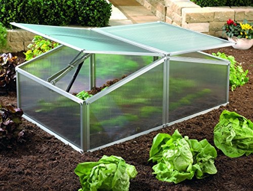 Gartenwelt Riegelsberger Frühbeet Gaia XS, L100 x B60 x H39 cm