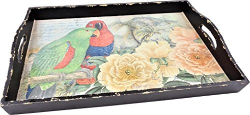 TABLETT PARADISE BIRD