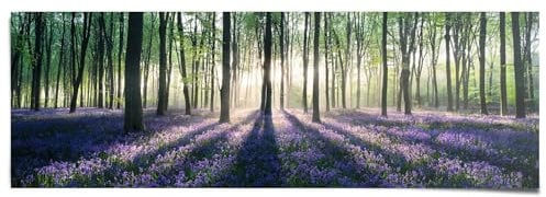 REINDERS Poster, Glockenblumen im Wald, Schlafzimmer, Bilder, Wanddeko, Room Decor, 170 gr. glänzend Bilderdruckpapier, Lila, 53x158cm