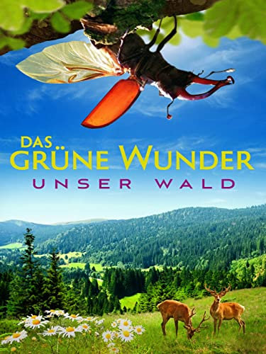 Das grüne Wunder - Unser Wald