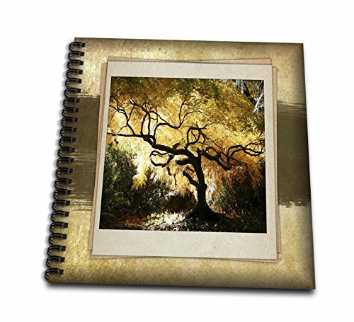 3D Rose Bonsai Japanese Maple Drawing Book