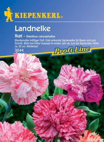 Kiepenkerl
