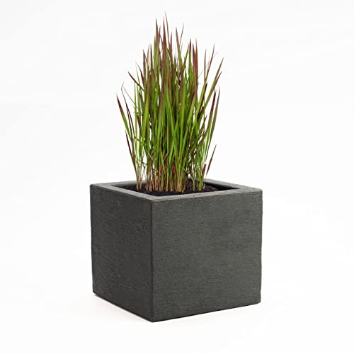 Pflanzwerk® Maceta Antracita Plástico 34x40x40cm *Resistente a Las heladas* *Protección UV* *Calidad Europeo*