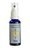 Holy Scents Ayurveda Chakra-Spray - Ajna (Stirn-Chakra)