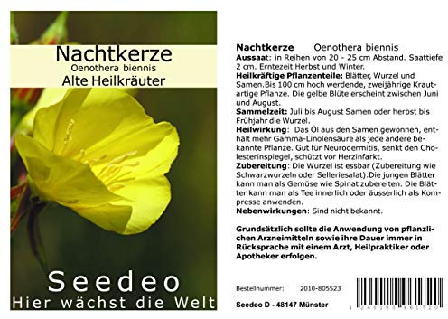 Seedeo Nachtkerze (Oenothera biennis) 200 Samen
