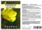 Seedeo Nachtkerze (Oenothera biennis) 200 Samen