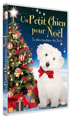 Un petit chien pour le village de noël [FR Import]