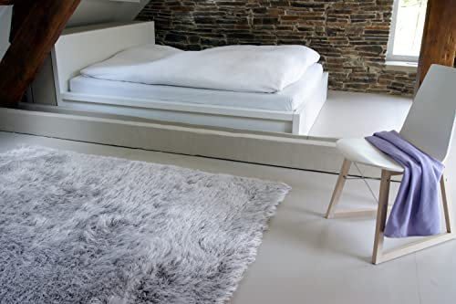 floor factory Hochflor Shaggy Teppich Prestige Silber grau 120x170 cm - superweicher Flauschiger Langflor Teppich