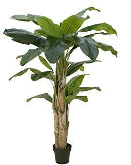 EUROPALMS Bananenbaum, Kunstpflanze, 170cm | Bananenbaum mit drei Stämmen