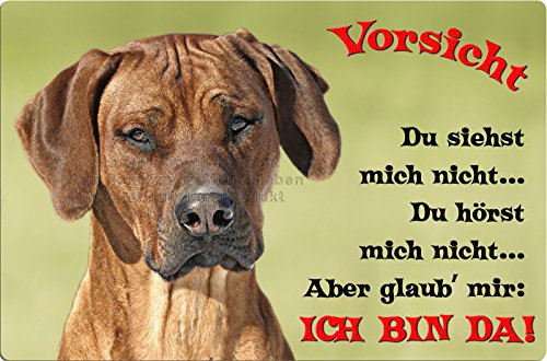 Nanyuk +++ Rhodesian Ridgeback - Metall Warnschild Schild Hundeschild Sign - RRB 40 T2