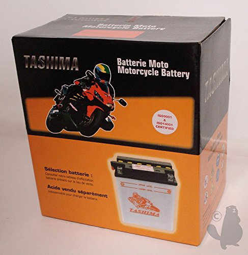 Greenstar 11519 Batterie gel WP12BS