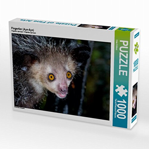 CALVENDO Puzzle Fingertier (Aye-Aye) 1000 Teile Lege-Größe 64 x 48 cm Foto-Puzzle Bild von Uwe Kribus
