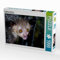 CALVENDO Puzzle Fingertier (Aye-Aye) 1000 Teile Lege-Größe 64 x 48 cm Foto-Puzzle Bild von Uwe Kribus