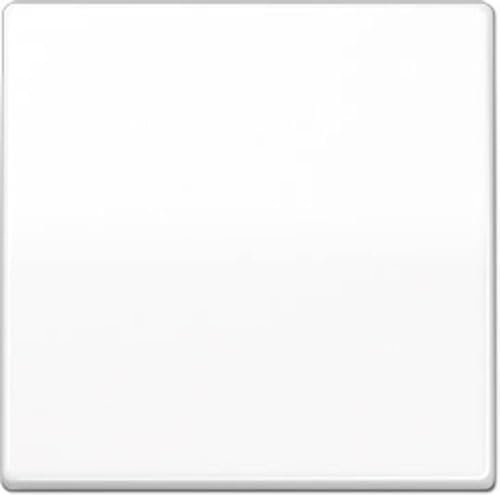 Jung Wippe für Schalter und Taster Serie As antibakteriell alpinweiß, 1 Stück, ABAS 591 WW