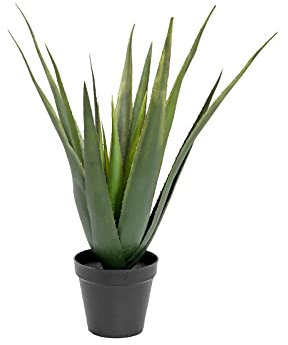 EUROPALMS Aloe-Vera Pflanze, Kunstpflanze, 60cm | Elegante Aloepflanze