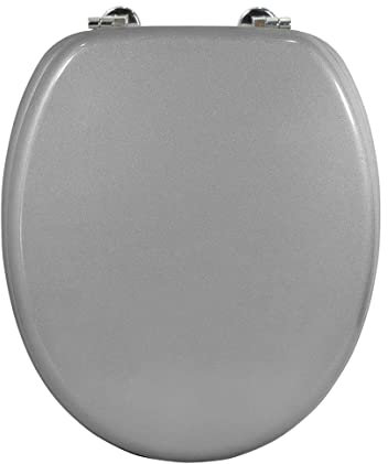 FRANDIS Carpemodo WC Sitz Toilettendeckel Holz WC Deckel Grau