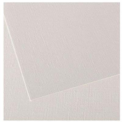 Canson Artist Series Canva-Paper, Roll, 48inx5yd (136lb/290g) - Artist Paper for Adults and Students - Oil Paint, Acrylic Paint, Mixed Media