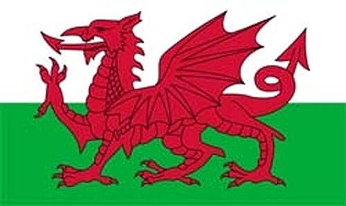 Flagge Wales - 90 x 150 cm