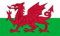 Flagge Wales - 90 x 150 cm
