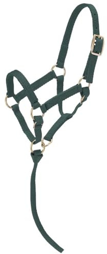Tough1 Miniature Nylon Halter - Hunter Green - Small