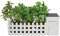 Oliphant Indoor Allotment Gift Set Herb Garden