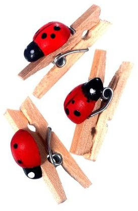 Lot de 20 pinces à linge coccinelle rouge