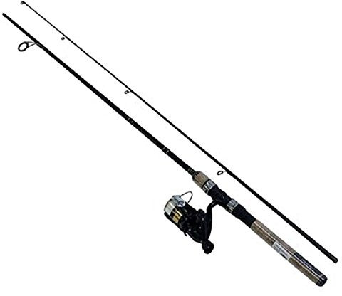DAIWA Dsk Fw Spin Pmc D-Shock Spule und Angelrute Combo, Mehrfarbig, 18 cm