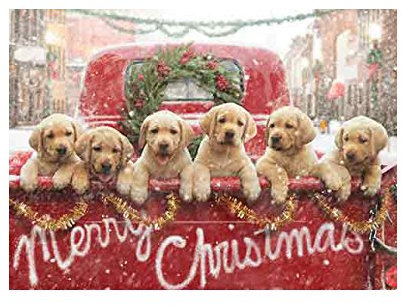 Avanti Press Weihnachtskarten All The Love Your Heart Can Hold, Laborwelpen in rotem LKW, 10 Stück (701240)