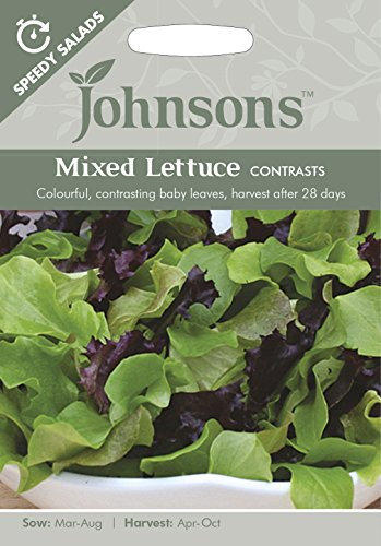 Johnsons 13609 Vegetable Seeds, Mixed Lettuce Contrasts