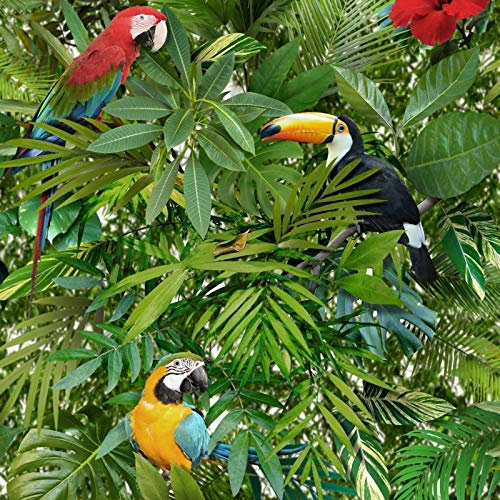 Muriva Tropical Bird Parrot Pattern Wallpaper Jungle Flower Leaves Vinyl L12304