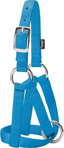 Weaver Leather Ziegenhalfter für Nutztiere, Hurricane Blau, 3/4 Zoll