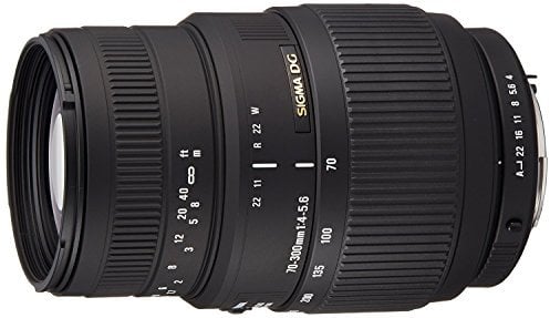 Sigma Objectif Macro 70-300 mm F4-5,6 DG - Monture Sony