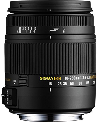 Sigma Objectif Macro 18-250 mm F3,5-6,3 DC OS HSM - Monture Sony