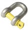 2 Ton Tested D Shackle with Screw Pin