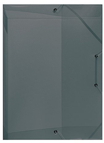 Herlitz 10722528 Heftbox A4 PP transluzent Rückenbreite 4 cm, grau