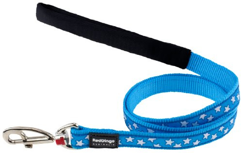 Red Dingo Designer Dog Lead, White Stars on Turquoise (25mm x 1.2m) L