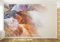 Vlies Fototapete Tapete Vliestapete ForWall Feder Muster AF553VEXXXL (416cm x 254cm) Photo Wallpaper Mural