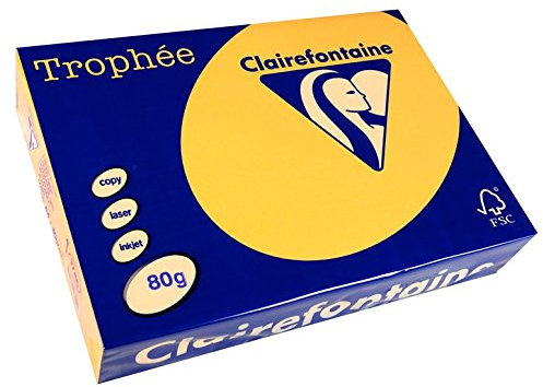 Clairefontaine 1780C - Ries mit 500 Blatt Druckerpapier / Kopierpapier Trophée, DIN A4 (21x29,7 cm), 80g, Goldgelb Pastellfarbe, 1 Ries