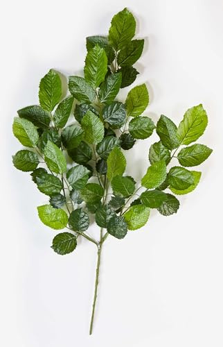 artplants.de Deko Buchenzweig Erick, 60 Blätter, grün, 60cm - Kunstzweig - Kunstpflanzen