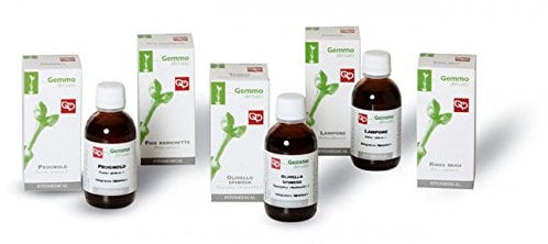 FITOMEDICAL Ribes Nero Gemmoderivato - 50 ml